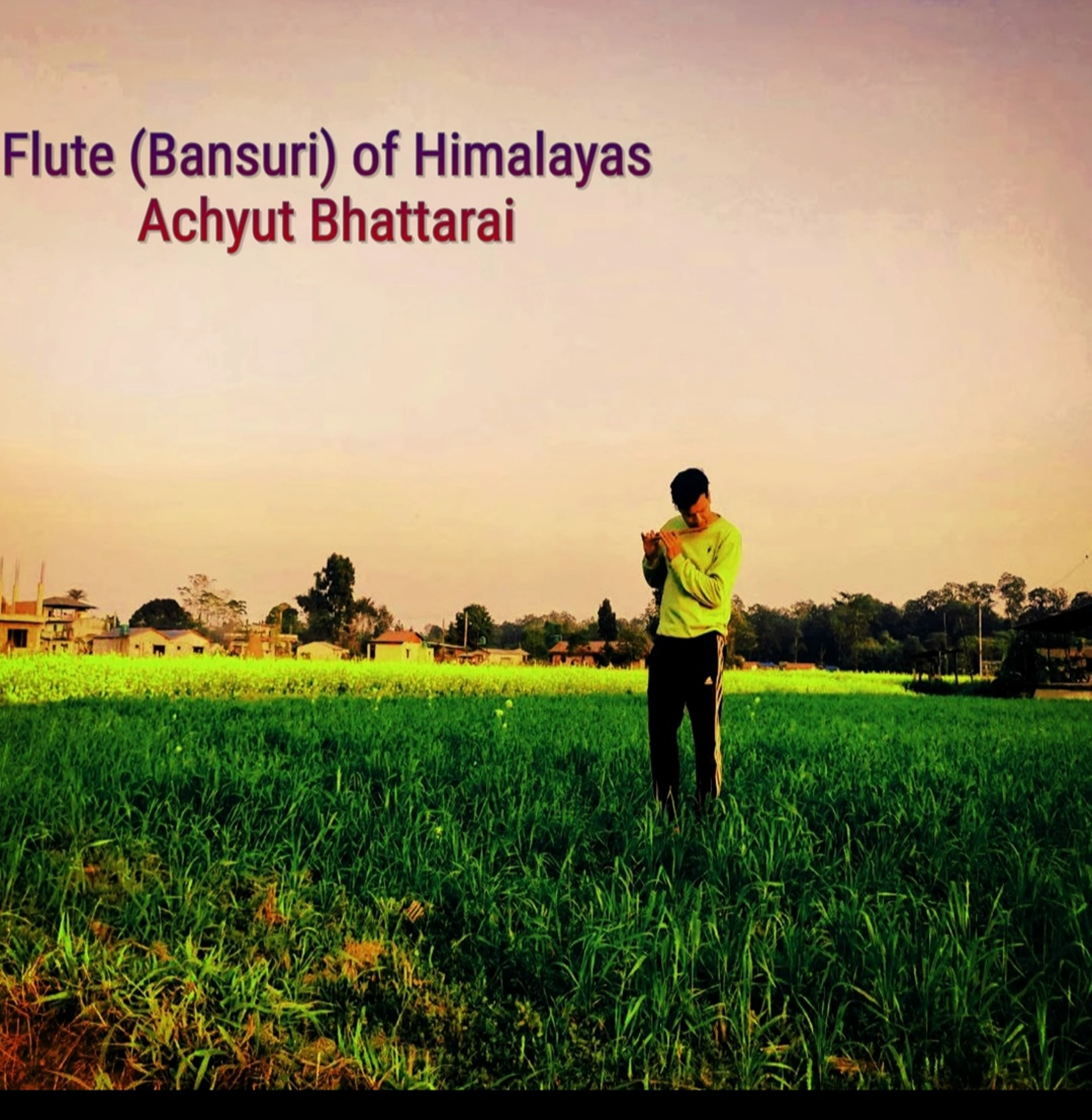 Flute (Bansuri) of Himalayas